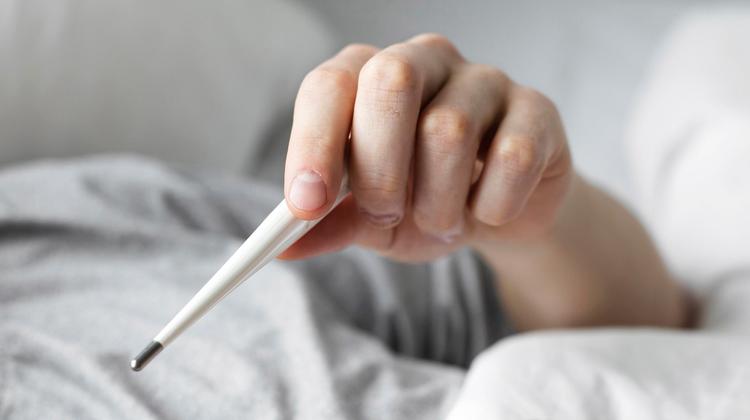 Surto de Febre do Oropouche: estudo compara gravidade e sintomas com a dengue