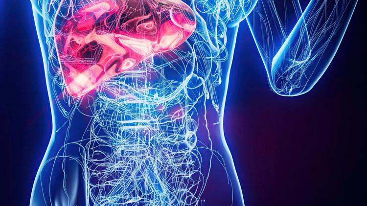 Paracentese: Devo puncionar na linha média?