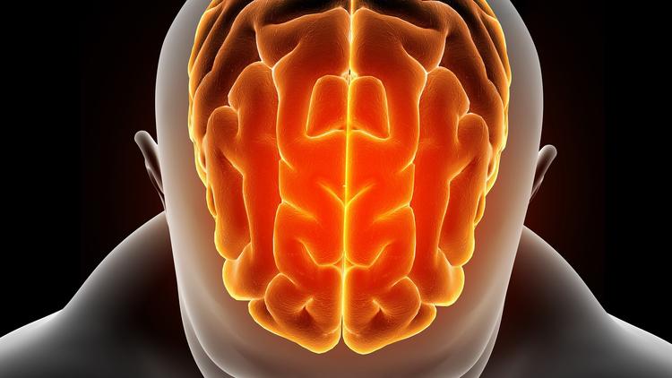 Meningite Tuberculosa: o que mudou com as Novas Diretrizes do Lancet