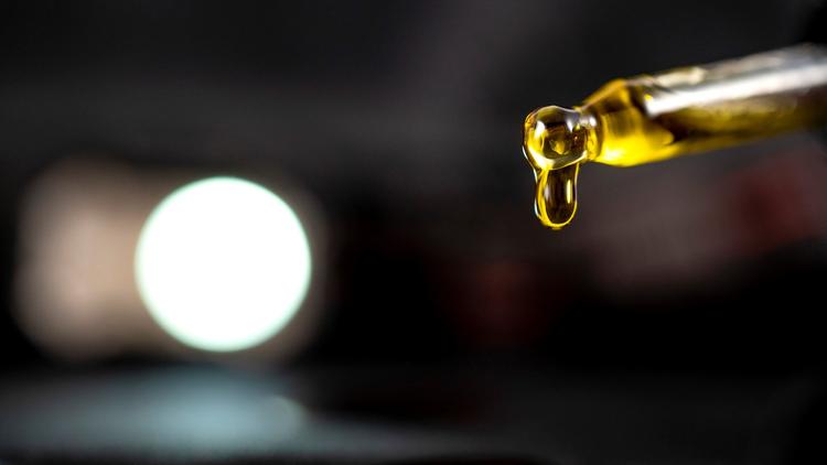 Cannabis e canabinoides: evidências terapêuticas e riscos na prática clínica