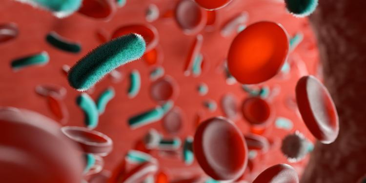 Campanha sobrevivendo a sepse 2026