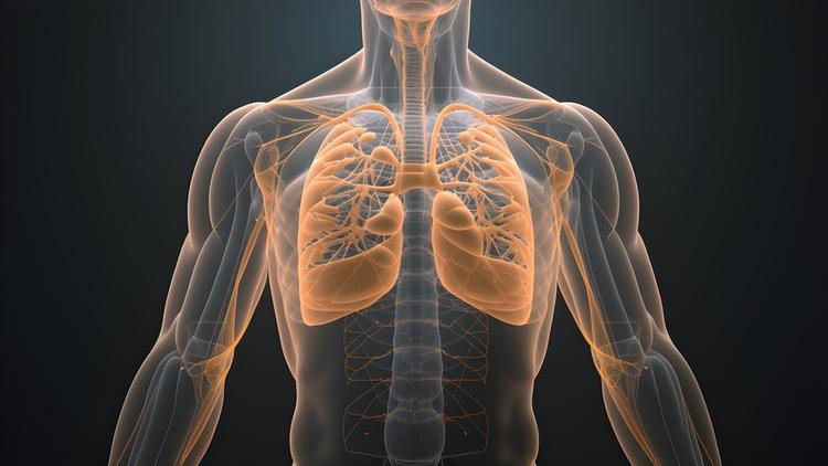 disfunção da musculatura respiratória