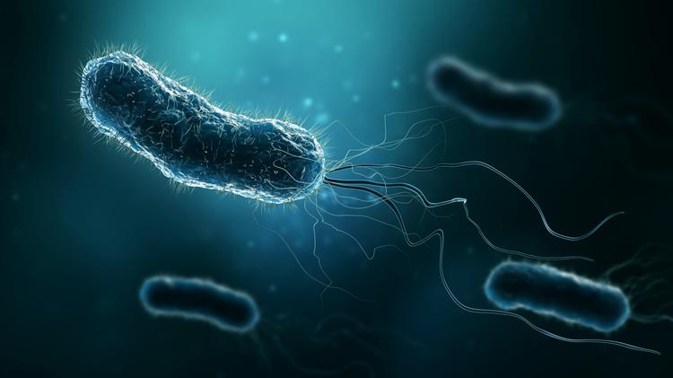 Infecção por Helicobacter pylori: revisão 2026 do manejo atual