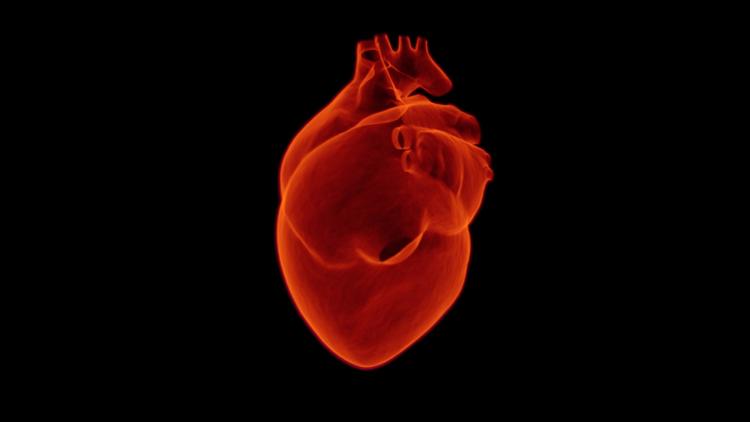 Amiloidose cardíaca: Anvisa aprova nova terapia para cardiomiopatia por TTR