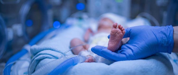 Coqueluche grave em lactentes: análise multicêntrica em UTIP