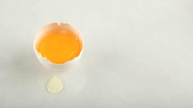 Alergia ao ovo: impacto da introdução aos 6 meses em lactentes