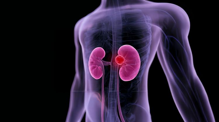 recuperação de lesão renal aguda