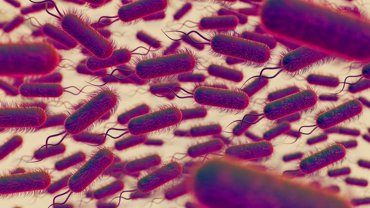 Enterobacterales resistentes a carbapenêmicos na IDSA 2026