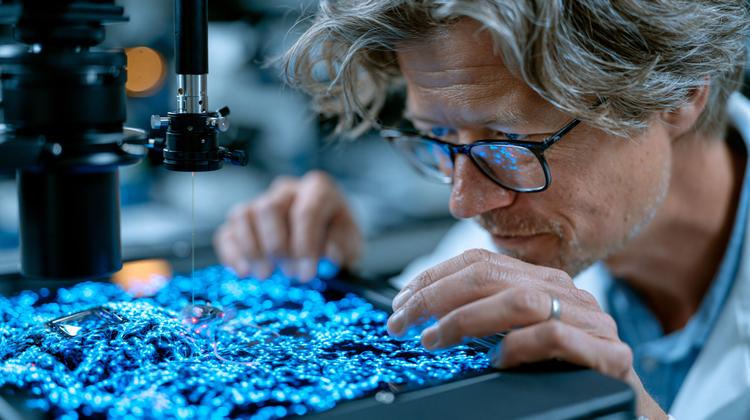 Nobel de Medicina 2026 reconhece avanços em optogenética
