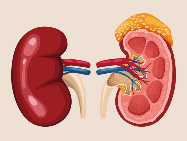 Novo guideline de incidentaloma adrenal: avaliação do risco de malignidade
