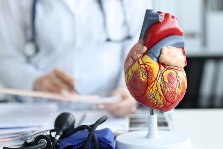 Quanto ganha um médico cardiologista? Formação, carreira e potencial de renda